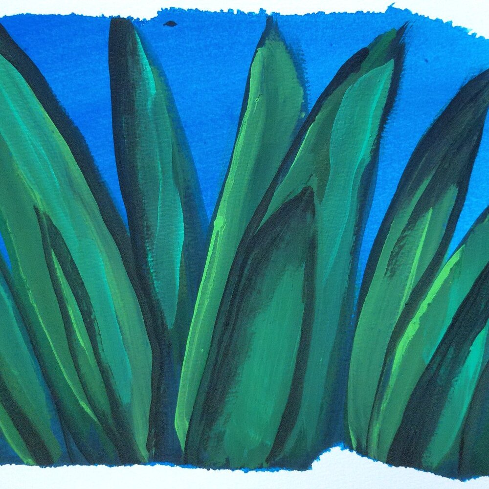Botanical Agave Original Painting by Artist Rachael Potter